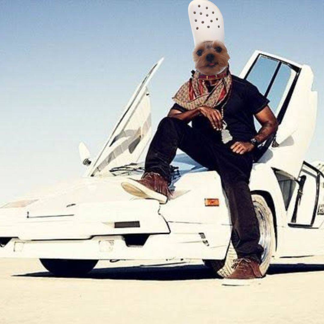 Darth_Faderz's tweet image. #sportsmode $crocdog