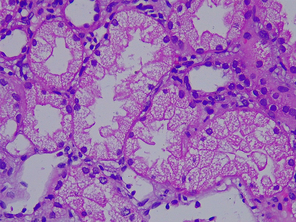 sudhir babu tweet media