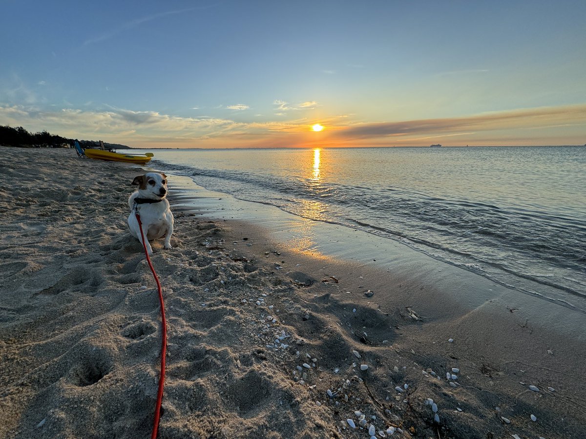 ng_nino's tweet photo. Beach sunset #aussie #beach #sundet #Easter #Sunday #photos #nature #me https://t.co/znKB8CD1N8