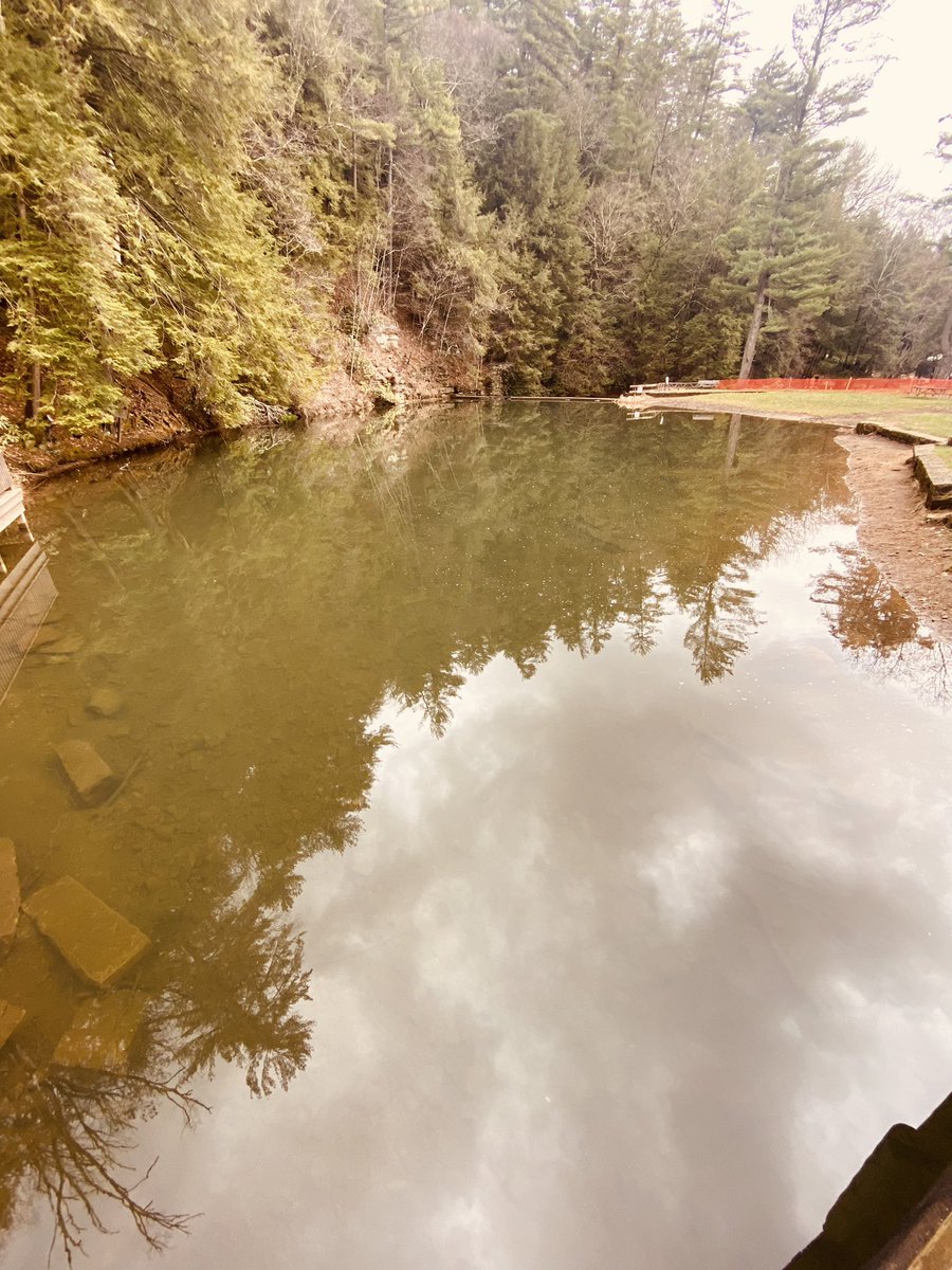 TonyMel13027869's tweet image. Afternoon hike on the Joyce Kilmer trail #cookforest #hike #joycekilmertrail