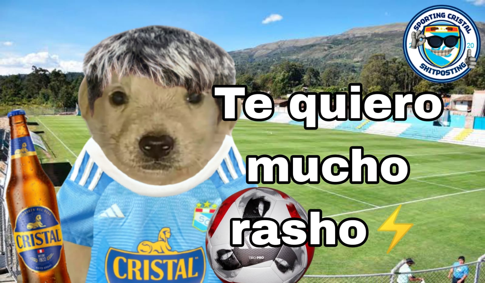 Kit grande de botellas de vidrio de cerveza con tapa para cervecería  17303535 PNG, image size:1599x932