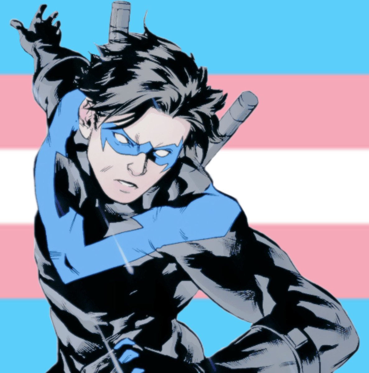 Daily_Blue_Bird's tweet photo. #DC #Nightwing #DickGrayson #dccomics 

Happy transgender visibility day! https://t.co/vC79DUmyyN
