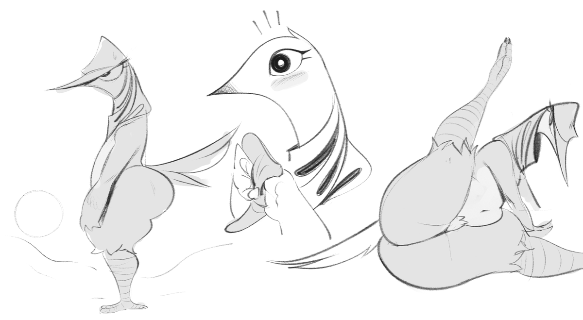 Last warmup Not what she/he is, birb or smt