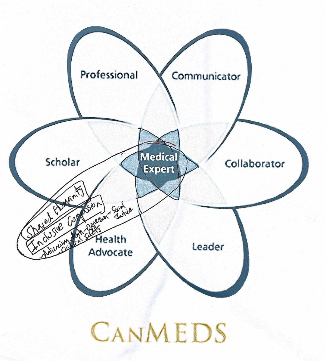 Based on 23 years in ER, work with populations in crisis, social advocacy and my ER shift last night with those with minor problems to extremis, I suggest the following CanMEDS model. The centrality of the MD remains medical expert. @KanninOsei @CMAJ @CMA_Docs @Royal_College