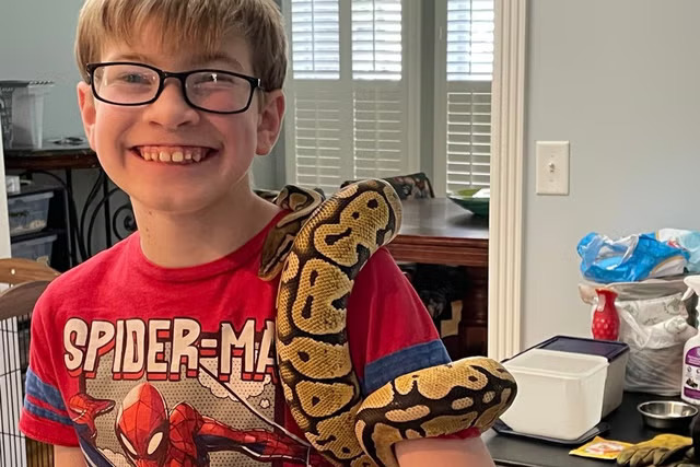 Didn't I read somewhere (a text conversation between KP and a neighbor) that a neighbor was concerned about seeing buzzards circling around near the neighborhood? KP said that it was found to be a deer carcass or something? 

In a lot of cases, buzzards have led to a discovery.