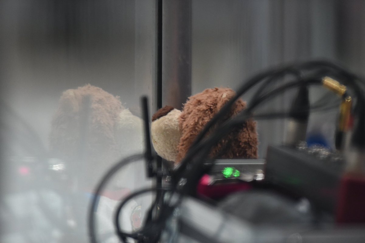 maxdabear's tweet photo. I like to be as close to the plexi as possible so it’s like I’m actually in the @flamesicehockey game 🏒🥅
📸:@JohnUwins https://t.co/B4hAm3KWRH