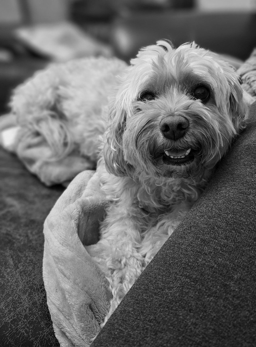 Post a selfie from your gallery, but turn it B&amp;W