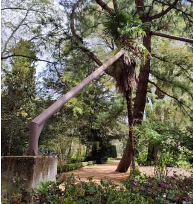 RambaAmbiental's tweet photo. Nos enviaron esta imagen del #JardinBotanico de #Madrid 🇪🇸
Una plataforma para sostener al árbol 🌳de su caida.
Que opinan 🤔???
La verdad es que tenemos sensaciones encontradas. https://t.co/tvXNfX9YmN