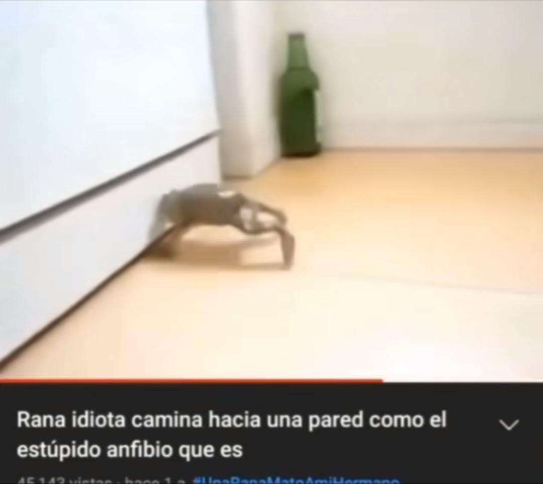 panqueso0602's tweet photo. @late_cod cuando uno en estados unidos miamor? 🥺🥺🥺 https://t.co/Fqjepk0M1O