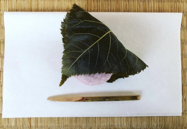 choh_u's tweet photo. 卯月朔日の朝茶。
菓子、笹屋伊織『桜もち』。
#茶道 #茶の湯 #抹茶 #薄茶 #和菓子 #春 #桜餅
#teace #matcha #wagashi #spring #sakuramochi https://t.co/aeIpCjYkkc