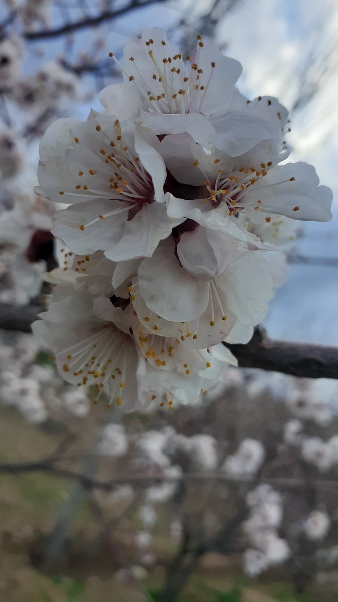 MathZeerak's tweet image. 