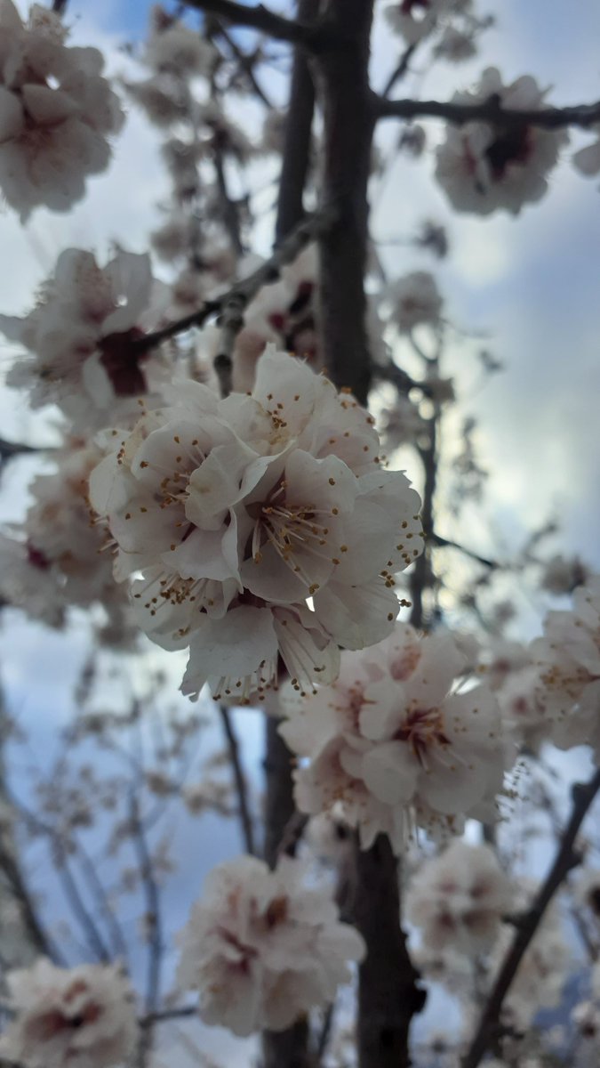 MathZeerak's tweet image. 