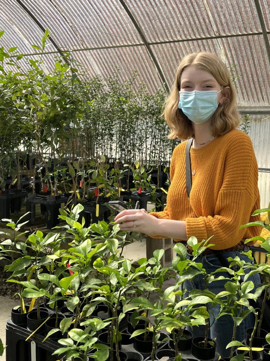 Svetlana Folimonova tweet media