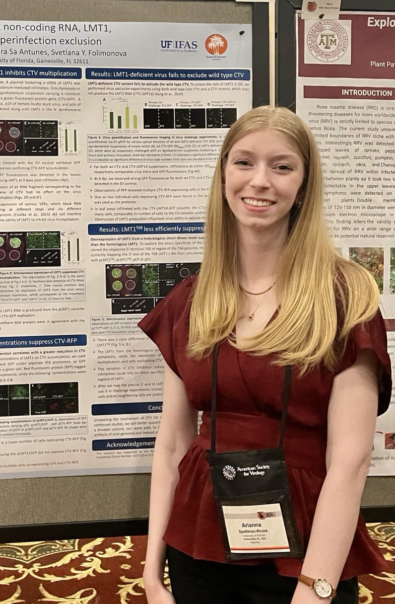 Svetlana Folimonova tweet media