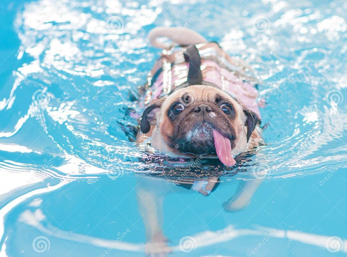 hileaf's tweet photo. @lucykfry Belated happy swimming Sunday, belated happy house clearance Sunday, belated happy wedding fitting Sunday and belated happy Ghost Story Sunday! https://t.co/RdeguN37qS