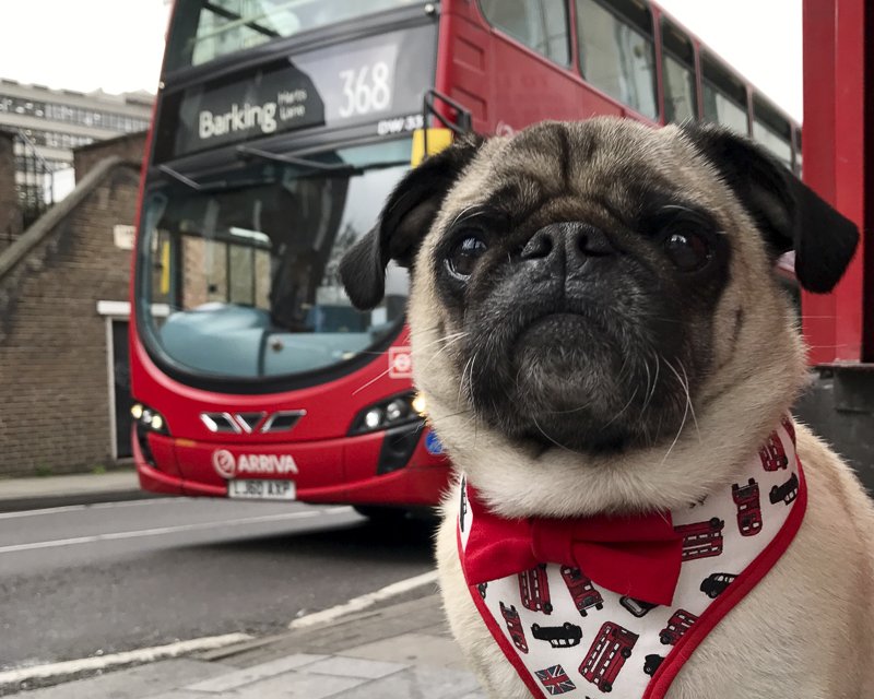 hileaf's tweet photo. @lucykfry Belated happy London 'trip' Sunday and Happy 'Birthday Easter Saturday' Sunday! https://t.co/cv3X1H4wqP