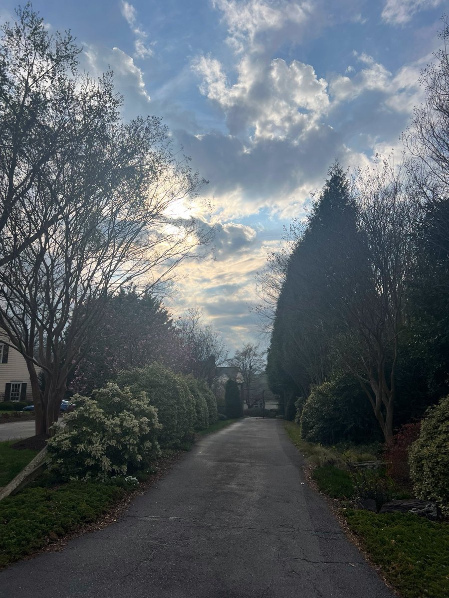 farheen2326's tweet image. Can’t do all work and no play. 
It was a beautiful day to waste  dusting and vacuuming rugs and moping floor. Taking a little stroll around the neighborhood. 
#springsky