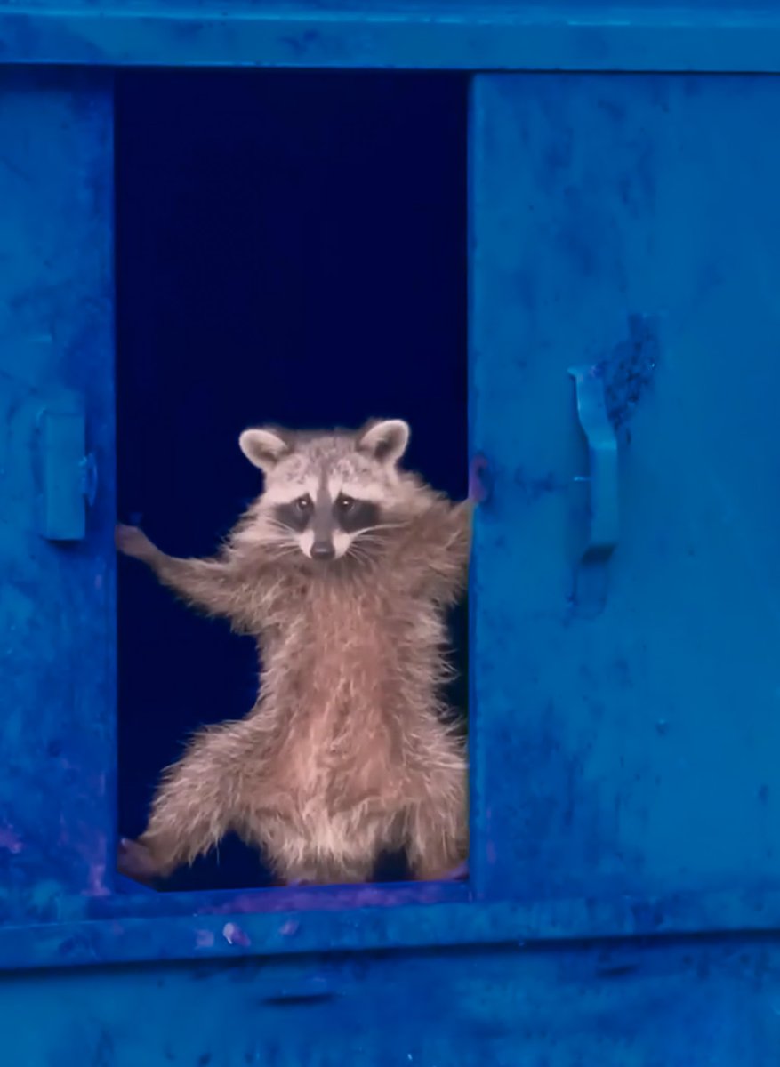 TrashPanda_Coin's tweet photo. we're cooking https://t.co/p98MU7DFGu