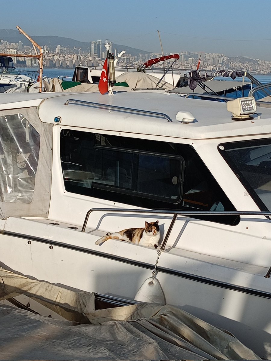pakatricia's tweet photo. en barco, dentro/fuera de las tiendas... https://t.co/ppn1edqooE