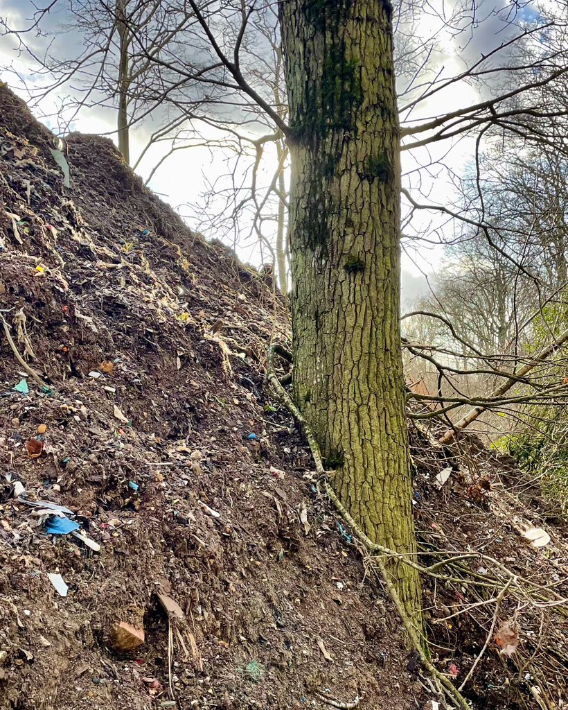 We’re not quite there for our Easter 🐣 target! 

Another 87 signatures required to reach 2,500 in our bid to #RescueHoadsWood from illegally dumped landfill waste 🆘🌳 #ancientwoodland #SSSI #nativetrees 

🙏 Sign, share & RT

👉 change.org/rescuehoadswood 👈