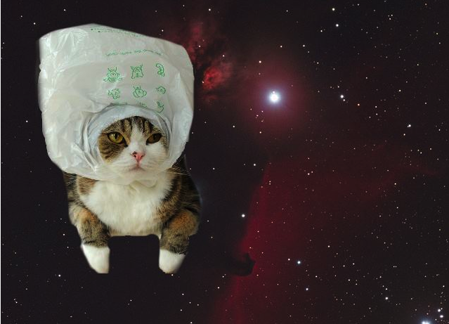 Crypto_Loni7's tweet photo. The founder of $DOGE holding $BAG should tell you enough about this coin. Cat coins flying, and $BAG is next. Loaded more of my bags at 0.044 cents. This gem is flying soon💎💎. Will follow $WIF and $SC

$WIF $BAG $SC $POPCAT $WEN $pepe $sol https://t.co/3iBvEUsXKg