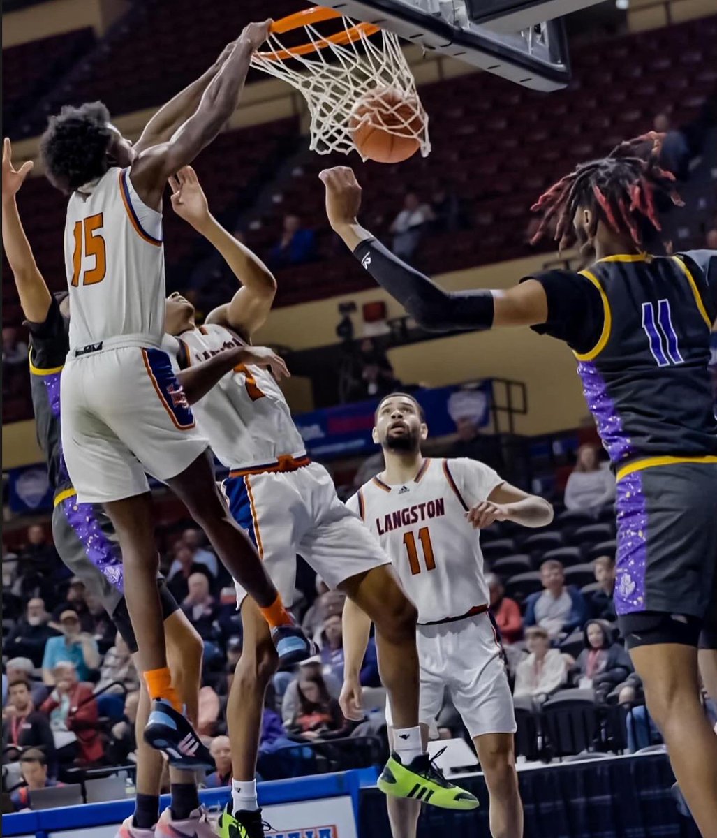 Ice Tez ❄️ tweet media