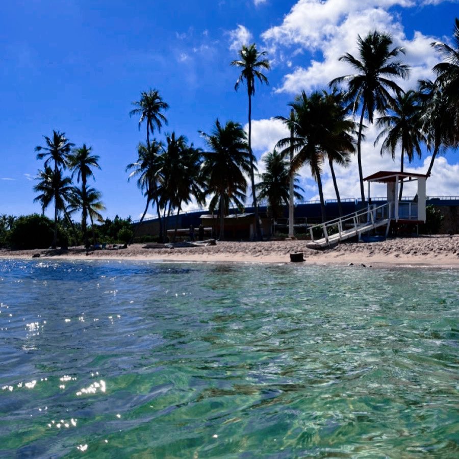 cabrón (@ecstasystate) on Twitter photo 