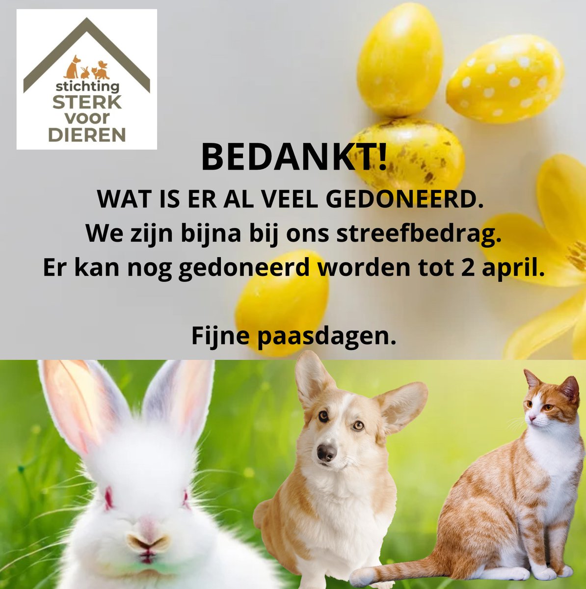 We zijn er bijnaaaaaaa, we zijn er bijnaaaaa maar nog niet helemaal....he-le-maal! Nog 2 dgn om te doneren. Je donatie wordt verdubbeld door <a href="/DierenLot/">Stichting DierenLot</a> zodat <a href="/SterkvoorDieren/">@StichtingSterkvoorDieren</a> nog meer huisdieren kan helpen die medische hulp nodig hebben!!

actievoordieren.nl/fundraisers/wi…