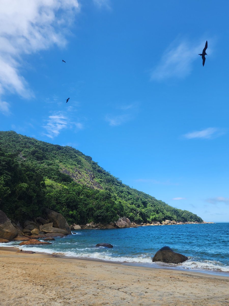 LVRDZS's tweet image. Praia de Ponta Negra - RJ
#semfiltro #seminternet