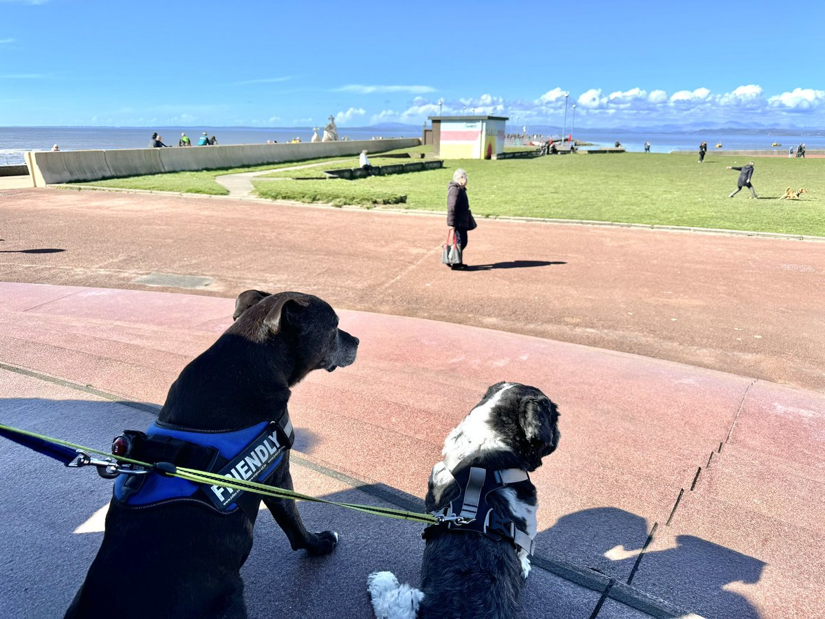 Hope you’re having a lovely Easter 🐣 The boys loving Morecambe 🌹