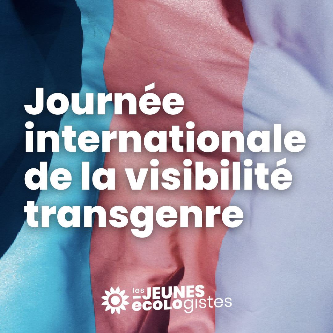 En ce #31mars, rappelons que les droits des personnes trans sont des droits humains, gravement menacés : en France, la droite sénatoriale prône la suppression de ces droits.

Continuons à défendre les droits trans en France et dans le monde !

#InternationalTransDayOfVisibility