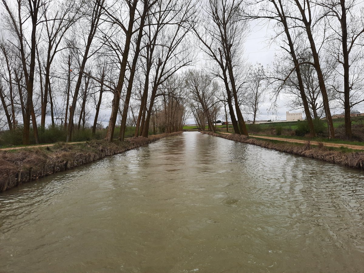 #Buendía #buenosdías 
#CanaldeCastilla en #MedinadeRioseco #Valladolid