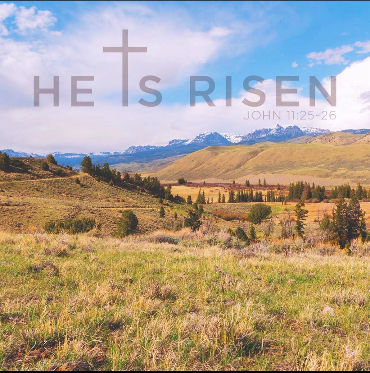 Happy Easter to all of you and your families. Hope you all have a wonderful day. He is Risen 🙏🏻✝️😁