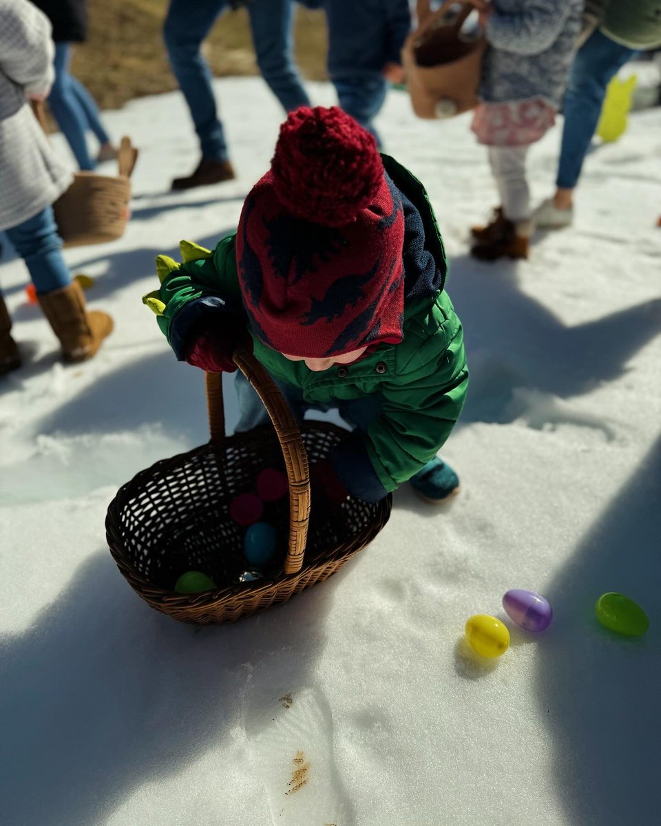maestromitchell's tweet photo. 🐣 A successful first Easter egg hunt for our little guy, hauling in 16 eggs in the 2-and-under age group!

Happy Easter from all us Mitchells! 🌷

@MitchellSoprano https://t.co/rtGuU8i9nN