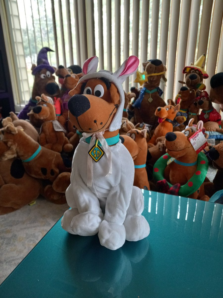 Scoobydude (@scoobyjim) on Twitter photo 