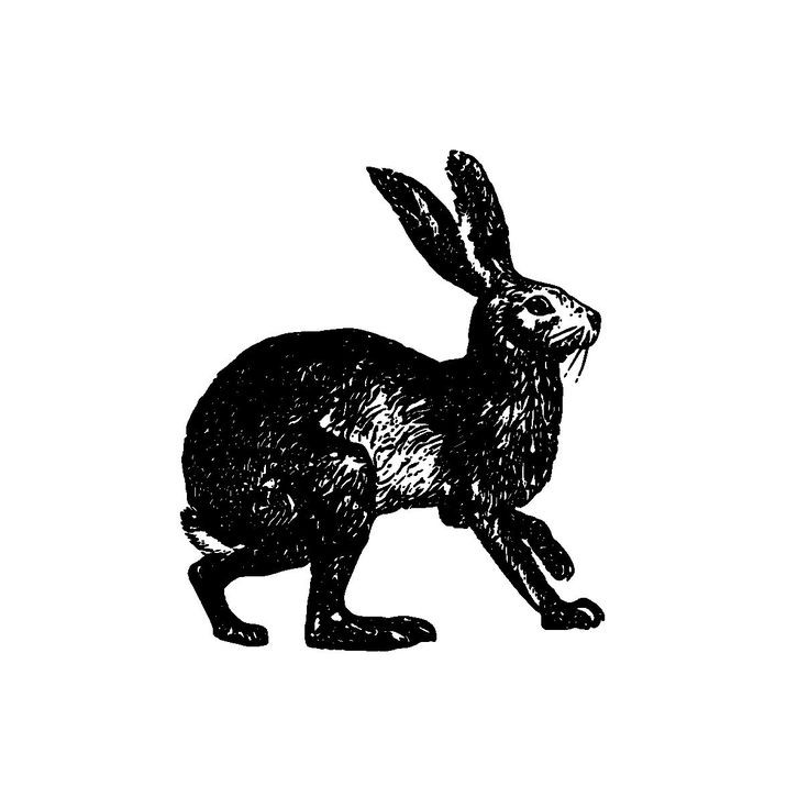 feliz dia da árvore!