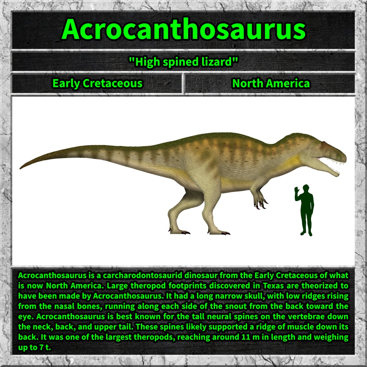 #acrocanthosaurus #dino #dinosaur #dinosaurs #cretaceous