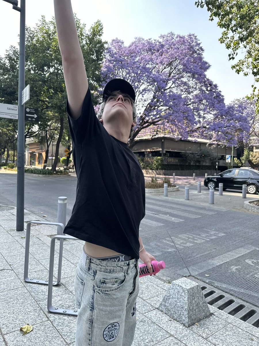 rodezel's tweet image. 