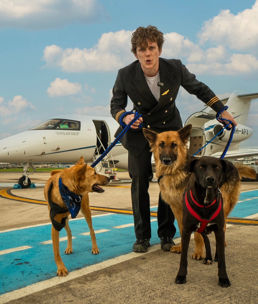 I rescued stray dogs on a private jet youtu.be/nznjDnYm5aI?si…