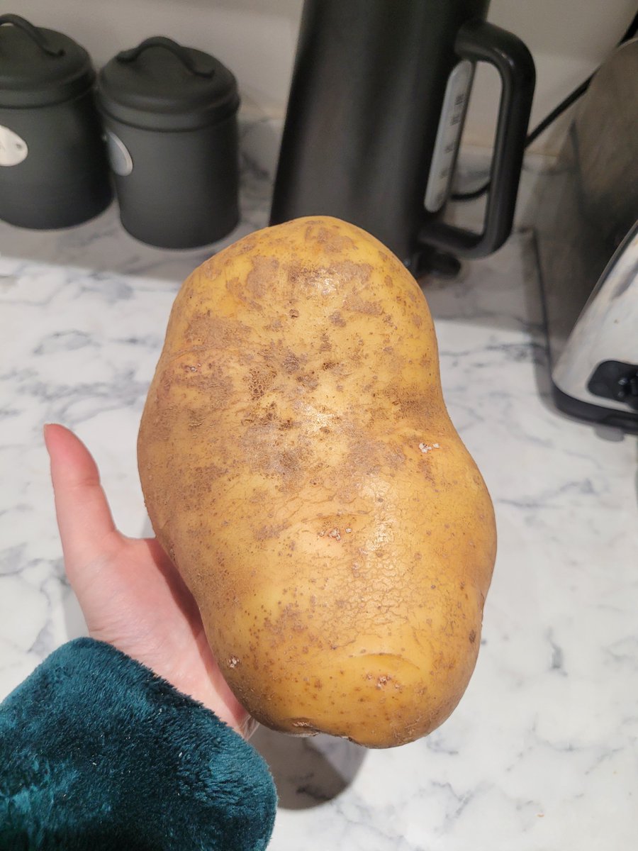 boonsnaps's tweet photo. Crikey Aldi!!! Look at the size of this potato! This will do a whole topping for shepherd's pie with some left over,thanks! Wasn't expecting that in my bag of baking potatoes 🤣 @AldiUK #aldi #aldiuk https://t.co/m4HxVs2mi6