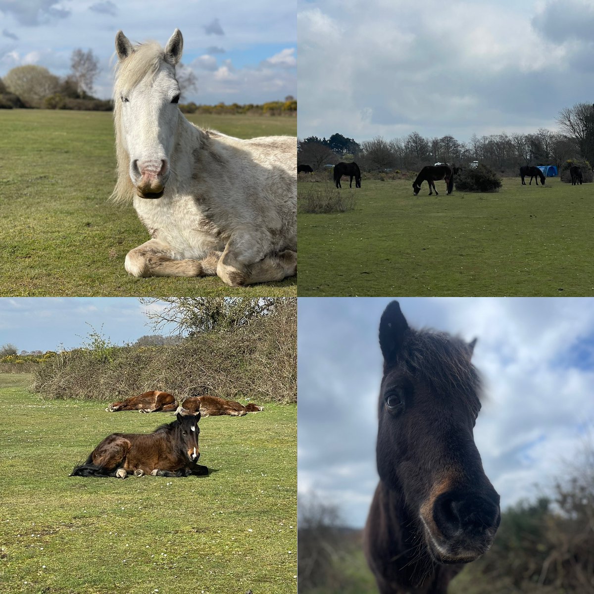 Ceri Tocock tweet media