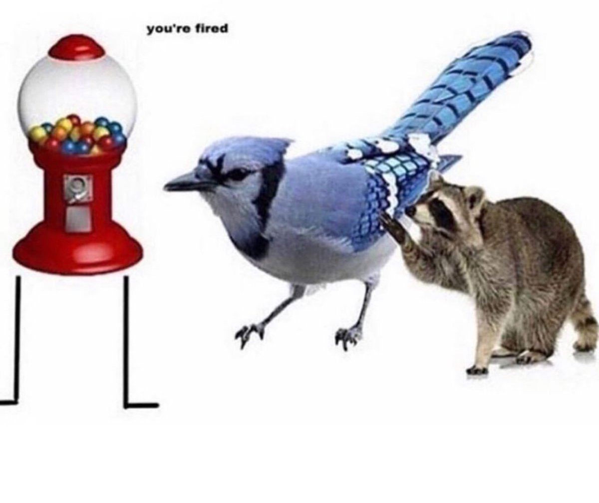 no context memes tweet media