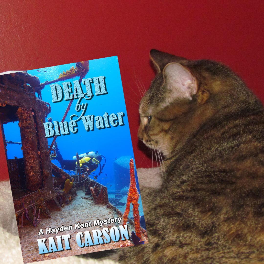 kaitcarson's tweet image. Jenny checks out Death by Blue Water. She loves a good mystery--and she's hoping for fish. #cats #catsoffacebook #catsread #mainecats #catsofinstagram