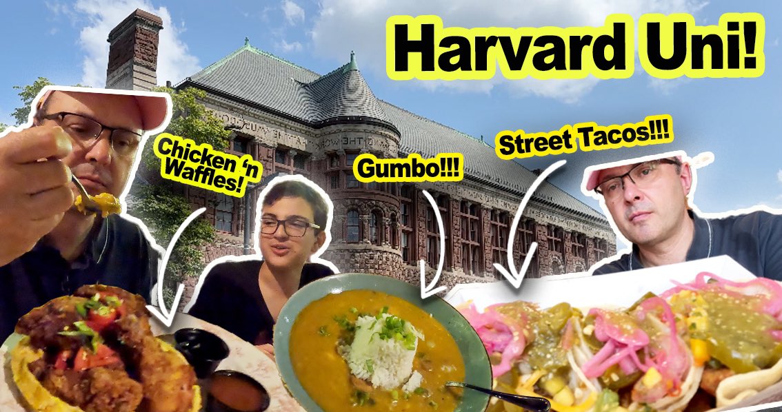 New TravelDog #vlog !!! #harvard #gumbo #streetfood #friedchicken - LINK IN BIO!!!