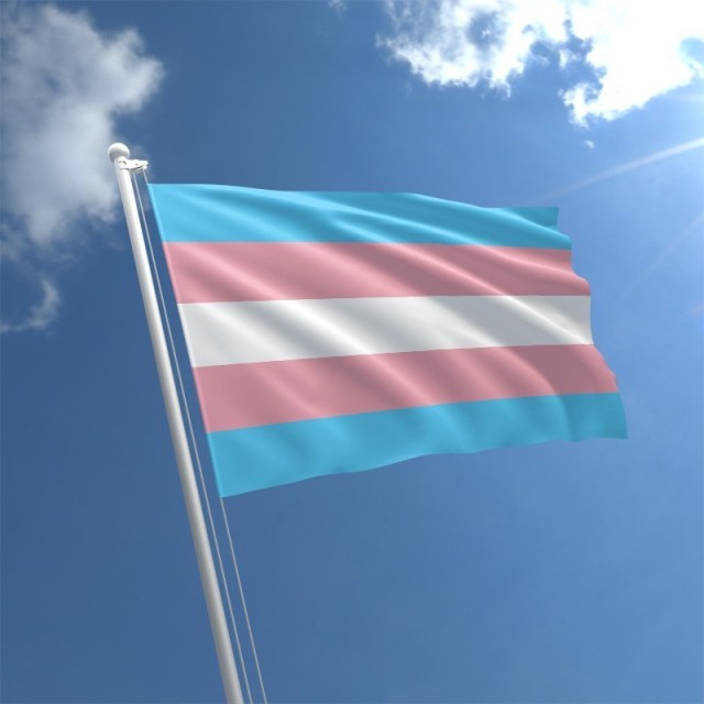 #31Mar Feliz Día Internacional de la Visibilidad Trans a ese uno, de cada 100, que lucha día a día, contra el mundo, por su reconocimiento.
¡Todo mi apoyo y empatía!
#DiaDeLaVisibilidadTrans #TransgenderDay 
#TransgenderLove