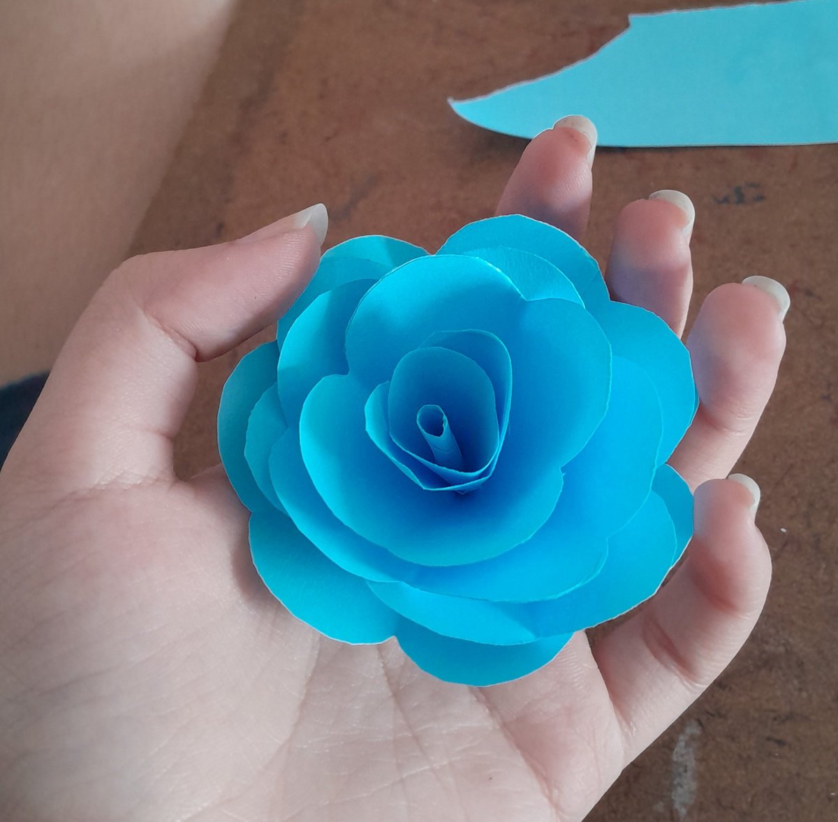 drawing_mii's tweet photo. Fiquei responsável pela decoração de um projeto da escola, vou fazer flores melhores eu juro.... https://t.co/YgUwW1Ew5b