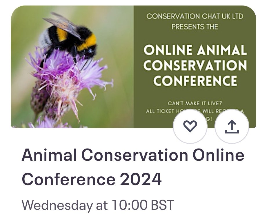 Taking place online this Wednesday. Can't make it live? don't worry all ticket holders will be sent a recording #conference #nature #wildlife #conservation #animals #ecology #rewilding #online #whatson #wildevents #Easter #easter2024 eventbrite.co.uk/e/animal-conse…