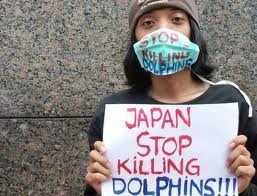 #StopTheKilling
of #DolphinsAndWhales
#japan
#saveThespecies