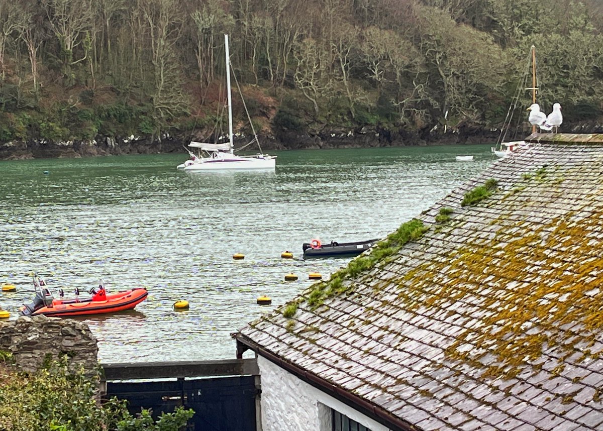 Backyard, River Fowey
#Gallery365myviewtoday #Gallery365in2024
@Gallery365photo