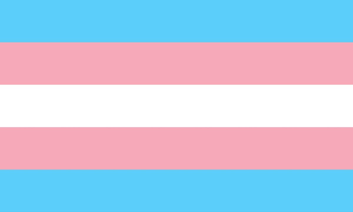 Today is International Trans Day of Visibility! A global day of recognition, celebration, & raising awareness of the work that still needs to be done. Happy #TDOV from the @Hunter_College community!